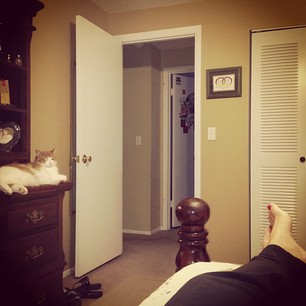 Because we can't be having THIS scene every night, those kids DO like dinner.