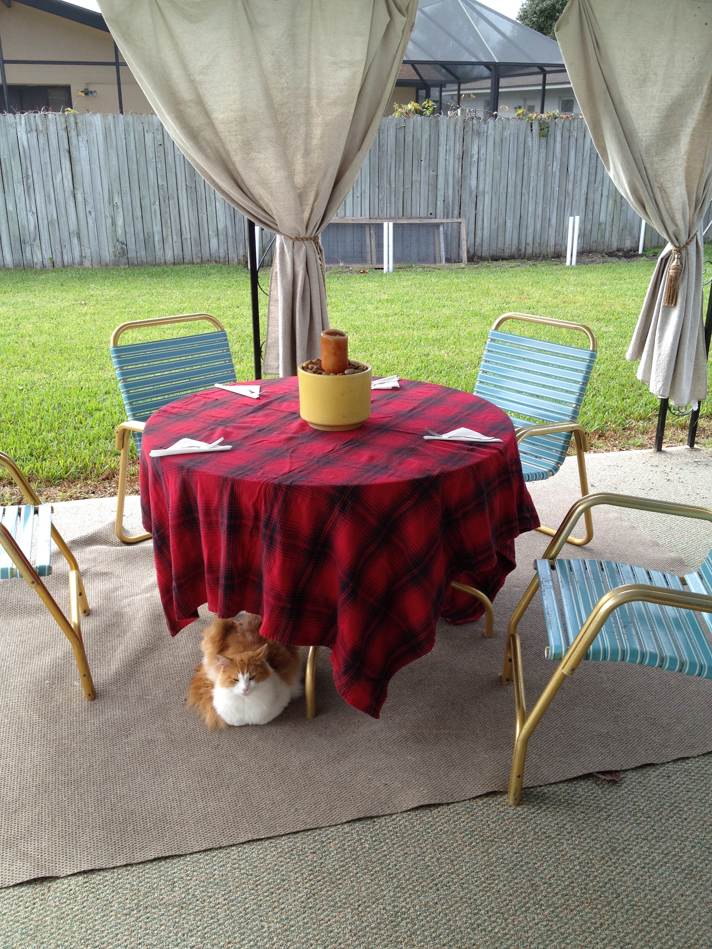 The kids opted to eat outside