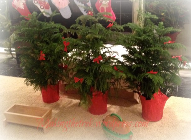 The tale of the Three Trees.  A must have for Advent and Christmas reading!!