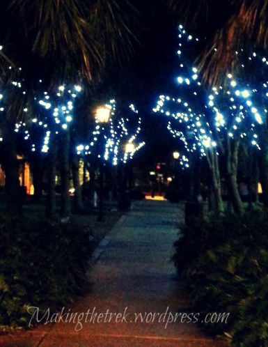 Early morning walk in the park