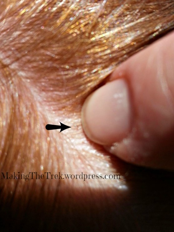 you can see how they really stand out, super easy to find and all